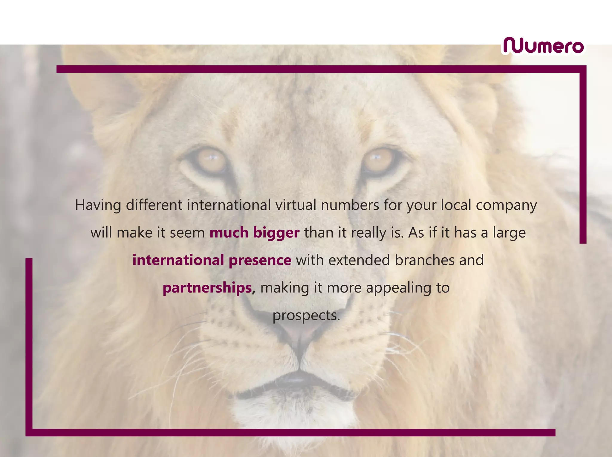 Having different international virtual numbers for your local company
will make it seem much bigger than it really is. As if it has a large
international presence with extended branches and
partnerships, making it more appealing to
prospects.
 