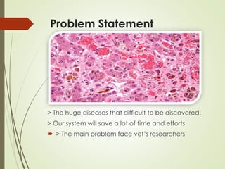 Problem Statement
> The huge diseases that difficult to be discovered.
> Our system will save a lot of time and efforts
 > The main problem face vet’s researchers
 