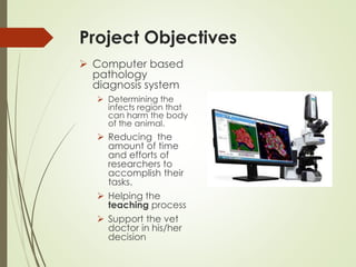 Project Objectives
 Computer based
pathology
diagnosis system
 Determining the
infects region that
can harm the body
of the animal.
 Reducing the
amount of time
and efforts of
researchers to
accomplish their
tasks.
 Helping the
teaching process
 Support the vet
doctor in his/her
decision
 