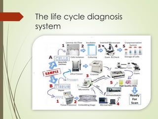 The life cycle diagnosis
system
 