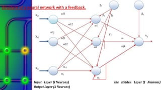 structure of a neural network with a feedback.
 