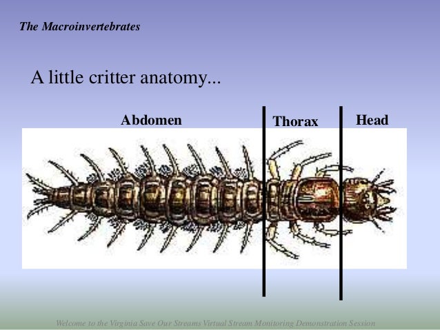 Virtualsosdemonstration