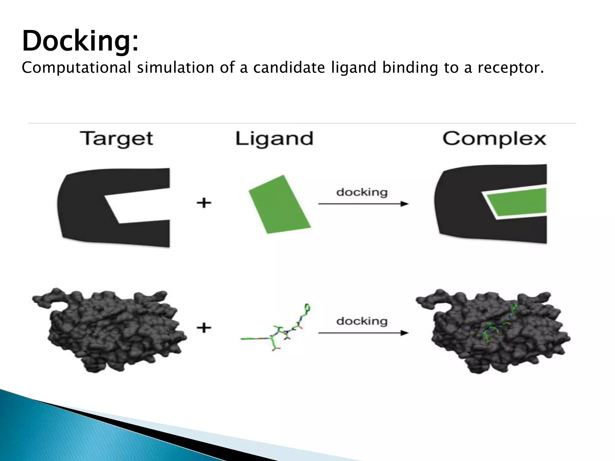 Docking:
Computational simulation of a candidate ligand binding to a receptor.
 