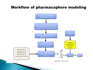 Workflow of pharmacophore modeling
 