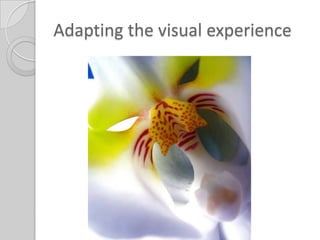 Adapting the visual experience
