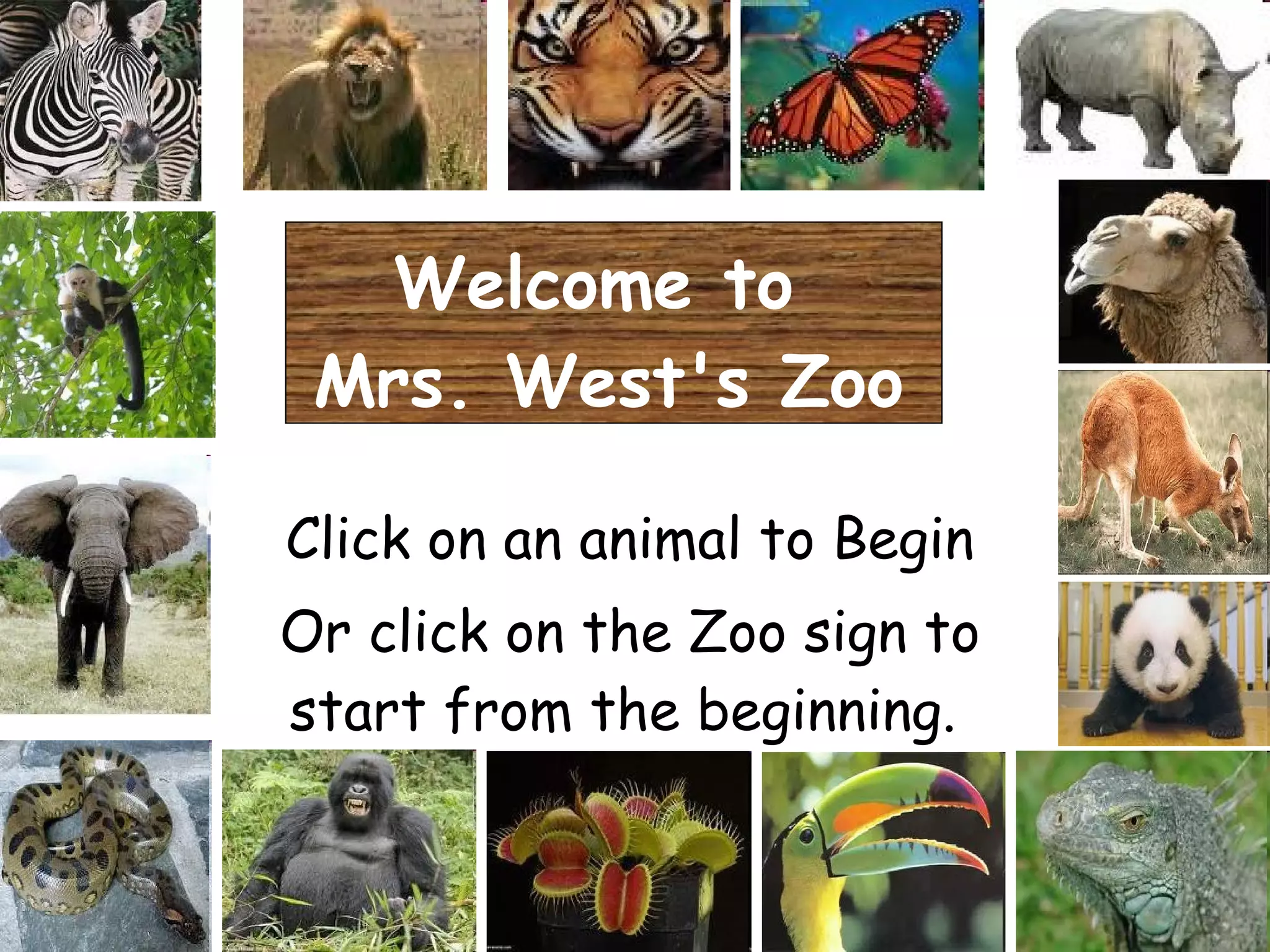 Welcome to  Mrs. West's Zoo Click on an animal to Begin Or click on the Zoo sign to start from the beginning.   