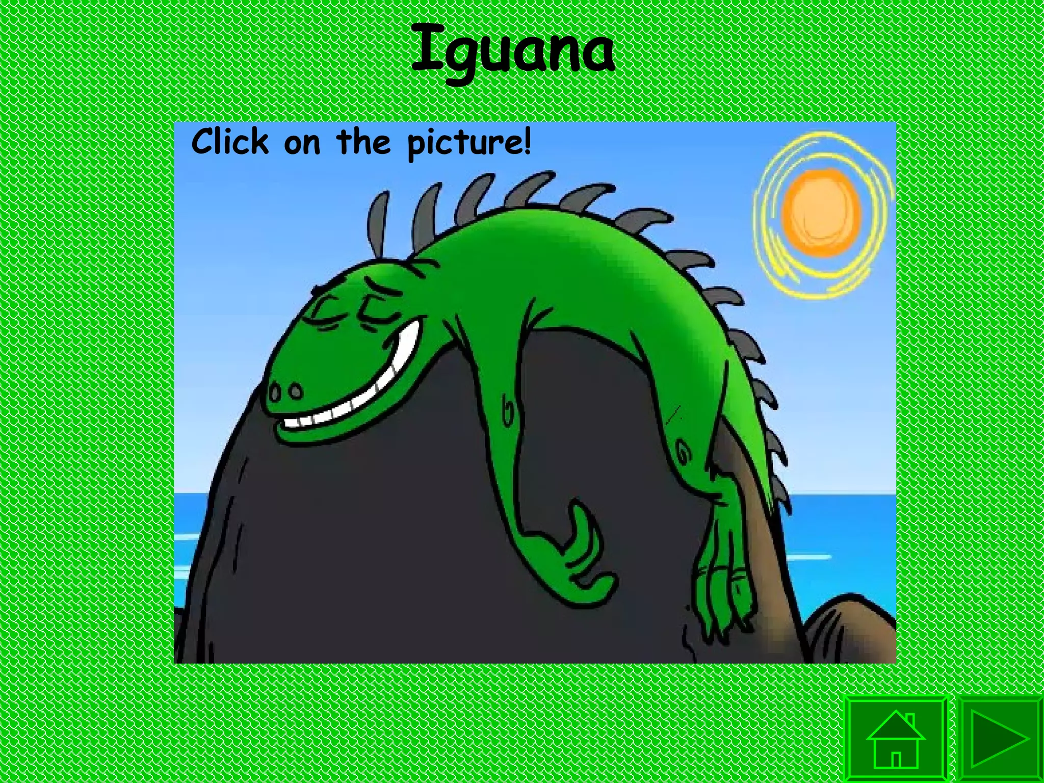 Iguana Click on the picture! 