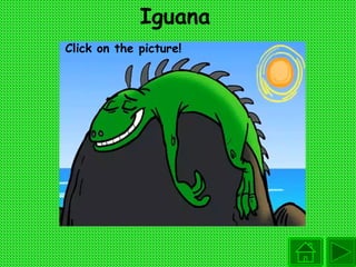 Iguana Click on the picture! 