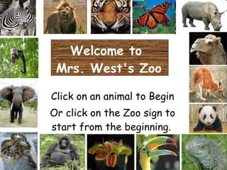 Welcome to  Mrs. West's Zoo Click on an animal to Begin Or click on the Zoo sign to start from the beginning.   