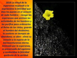 1818 La virtud de la
esperanza responde a la
aspiracióna la felicidad que
Dios ha puesto en el corazón
de cada hombre; - recoge las
esperanzas que animan las
actividades de los hombres y
las purifica para ordenarlas
al Reino de los cielos; guarda
al hombre del desánimo;
lo sostiene en tiempos de
abandono; se abre - eleva su
corazón a la espera de la
bienaventuranza eterna.
Animado por la esperanza,
es preservado del egoísmo
y conducidoa la felicidad
quebrota de la caridad.
 