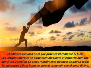 El hombre virtuoso es el que practica libremente el bien.
Las virtudes morales se adquieren mediante el esfuerzo humano.
Son fruto y semilla de actos moralmente buenos; disponen todas
las potencias del ser humano para la comunión con el amor divino.
 