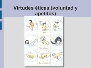 Virtudes éticas (voluntad y apetitos) 