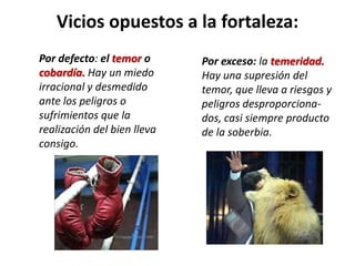 Vicios opuestos a la fortaleza:
Por defecto: el temor o
cobardía. Hay un miedo
irracional y desmedido
ante los peligros o
sufrimientos que la
realización del bien lleva
consigo.

Por exceso: la temeridad.
Hay una supresión del
temor, que lleva a riesgos y
peligros desproporcionados, casi siempre producto
de la soberbia.

 