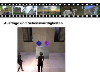 Ausflüge und Sehenswürdigkeiten 