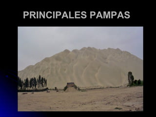 PPRRIINNCCIIPPAALLEESS PPAAMMPPAASS 
 