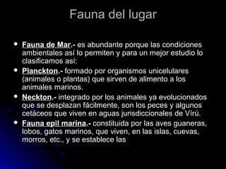 FFaauunnaa ddeell lluuggaarr 
 FFaauunnaa ddee MMaarr..-- eess aabbuunnddaannttee ppoorrqquuee llaass ccoonnddiicciioonneess 
aammbbiieennttaalleess aassíí lloo ppeerrmmiitteenn yy ppaarraa uunn mmeejjoorr eessttuuddiioo lloo 
ccllaassiiffiiccaammooss aassíí:: 
 PPllaanncckkttoonn..-- ffoorrmmaaddoo ppoorr oorrggaanniissmmooss uunniicceelluullaarreess 
((aanniimmaalleess oo ppllaannttaass)) qquuee ssiirrvveenn ddee aalliimmeennttoo aa llooss 
aanniimmaalleess mmaarriinnooss.. 
 NNeecckkttoonn..-- iinntteeggrraaddoo ppoorr llooss aanniimmaalleess yyaa eevvoolluucciioonnaaddooss 
qquuee ssee ddeessppllaazzaann ffáácciillmmeennttee,, ssoonn llooss ppeecceess yy aallgguunnooss 
cceettáácceeooss qquuee vviivveenn eenn aagguuaass jjuurriissddiicccciioonnaalleess ddee VVíírrúú.. 
 FFaauunnaa eeppiill mmaarriinnaa..-- ccoonnssttiittuuiiddaa ppoorr llaass aavveess gguuaanneerraass,, 
lloobbooss,, ggaattooss mmaarriinnooss,, qquuee vviivveenn,, eenn llaass iissllaass,, ccuueevvaass,, 
mmoorrrrooss,, eettcc..,, yy ssee eessttaabblleeccee llaass 
 