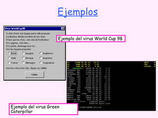 Ejemplos 
Ejemplo del virus World Cup 98 
Ejemplo del virus Green 
Caterpillar 
 