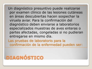 SÍNTOMAS.FORMA CUTANEAPies. Dificultad para caminar.Pico. Dificultad para comerOjos. Infección por contacto al rascarse.