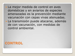 DIAGNÓSTICOTécnicas mediante análisis de ADN   Hay varias técnicas que pueden aplicarse: la amplificación de secuencias de ADN viral mediante la reacción en cadena de la polimerasa (PCR).