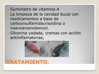 DIAGNÓSTICO DIFERENCIAL  En el diagnóstico deben diferenciarse la candidiasis para la forma digestiva, la avitaminosis A, y para la forma diftérica, la laringotraqueítis causada por herpesvirus.