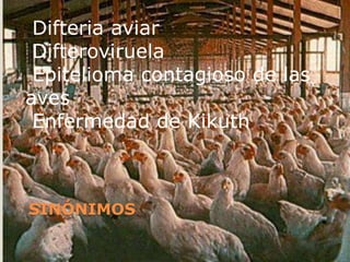  Difteria aviarDifteroviruela Epitelioma contagioso de las aves Enfermedad de KikuthSINÓNIMOS