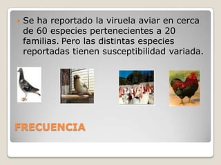 Retraso del crecimiento y susceptibilidad a otras enfermedades.