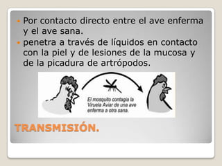  FRECUENCIASe ha reportado la viruela aviar en cerca de 60 especies pertenecientes a 20 familias.Pero las distintas especies reportadas tienen susceptibilidad variada.