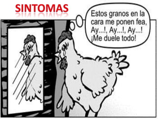 PERIODO DE INCUBACIONLa difusión de la enfermedad es lenta, ya que su periodo de incubación es de 4-14 días.