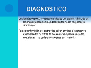 Viruela húmeda se pueden observar las membranas diftéricas en lengua, esófago, formación de costras en cresta, faringe, tráquea.