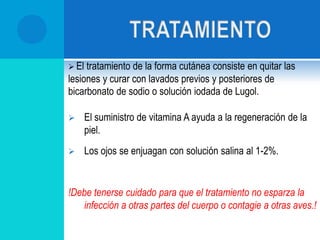 DIAGNOSTICOUn diagnóstico presuntivo puede realizarse por examen clínico de las lesiones cutáneas en áreas descubiertas hacen sospechar la viruela aviar. Para la confirmación del diagnóstico deben enviarse a laboratorios especializados muestras de aves enteras o partes afectadas, congeladas si no pudieran entregarse en mismo día.