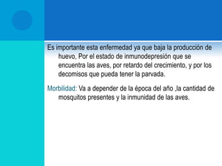 “Bubas" y “Pepilla". DEFINICION La viruela aviar es una enfermedad producida por un virus, se caracteriza por presentar nódulos blancoamarillentos, pústulas y costras   en zonas desprovistas de pluma en la forma seca, otra forma  se puede presentar membranas diftéricas en vías respiratorias y digestivas esta forma es llamada Viruela Húmeda o Diftérica. 