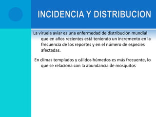 Es importante esta enfermedad ya que baja la producción de huevo, Por el estado de inmunodepresión que se encuentra las aves, por retardo del crecimiento, y por los decomisos que pueda tener la parvada.Morbilidad: Va a depender de la época del año ,la cantidad de mosquitos presentes y la inmunidad de las aves. 