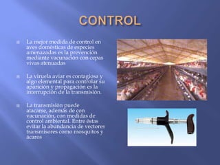    La mejor medida de control en
    aves domésticas de especies
    amenazadas es la prevención
    mediante vacunación con cepas
    vivas atenuadas

   La viruela aviar es contagiosa y
    algo elemental para controlar su
    aparición y propagación es la
    interrupción de la transmisión.

   La transmisión puede
    atacarse, además de con
    vacunación, con medidas de
    control ambiental. Entre éstas
    evitar la abundancia de vectores
    transmisores como mosquitos y
    ácaros
 