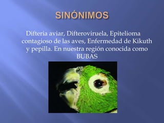 Difteria aviar, Difteroviruela, Epitelioma
contagioso de las aves, Enfermedad de Kikuth
 y pepilla. En nuestra región conocida como
                    BUBAS
 