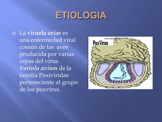    La viruela aviar es
    una enfermedad viral
    común de las aves
    producida por varias
    cepas del virus
    Variola avium de la
    familia Poxiviridae
    perteneciente al grupo
    de los poxvirus.
 