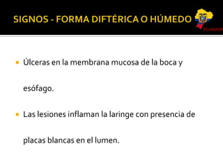 ECUADOR



Úlceras en la membrana mucosa de la boca y
esófago.



Las lesiones inflaman la laringe con presencia de

placas blancas en el lumen.

 