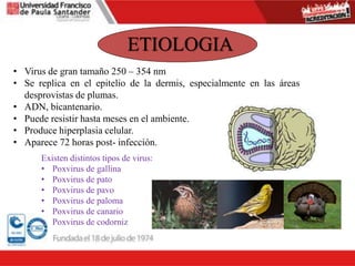 ETIOLOGIA
• Virus de gran tamaño 250 – 354 nm
• Se replica en el epitelio de la dermis, especialmente en las áreas
desprovistas de plumas.
• ADN, bicantenario.
• Puede resistir hasta meses en el ambiente.
• Produce hiperplasia celular.
• Aparece 72 horas post- infección.
Existen distintos tipos de virus:
• Poxvirus de gallina
• Poxvirus de pato
• Poxvirus de pavo
• Poxvirus de paloma
• Poxvirus de canario
• Poxvirus de codorniz
 