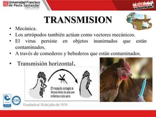 TRANSMISION
• Mecánica.
• Los artrópodos también actúan como vectores mecánicos.
• El virus persiste en objetos inanimados que están
contaminados.
• A través de comederos y bebederos que están contaminados.
• Transmisión horizontal.
 