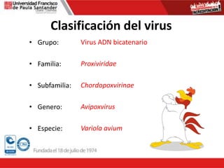 Clasificación del virus
• Grupo:
• Familia:
• Subfamilia:
• Genero:
• Especie:
Virus ADN bicatenario
Proxiviridae
Chordopoxvirinae
Avipoxvirus
Variola avium
 
