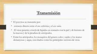 Transmisión
• El poxvirus se transmite por:
• contacto directo entre el ave enferma y el ave sana.
• El virus penetra a través de líquidos en contacto con la piel y de lesiones de
la mucosa y de la picadura de artrópodos.
• Entre los artrópodos, los mosquitos del genero culex y aedes y los ácaros
demanyssus y argas, son citados como los principales vectores de virus.
 