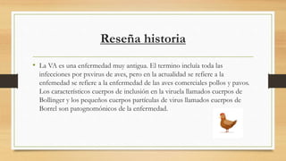 Reseña historia
• La VA es una enfermedad muy antigua. El termino incluía toda las
infecciones por pxvirus de aves, pero en la actualidad se refiere a la
enfemedad se refiere a la enfermedad de las aves comerciales pollos y pavos.
Los característicos cuerpos de inclusión en la viruela llamados cuerpos de
Bollinger y los pequeños cuerpos partículas de virus llamados cuerpos de
Borrel son patognomónicos de la enfermedad.
 