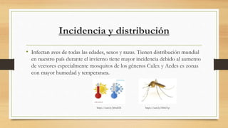 Incidencia y distribución
• Infectan aves de todas las edades, sexos y razas. Tienen distribución mundial
en nuestro país durante el invierno tiene mayor incidencia debido al aumento
de vectores especialmente mosquitos de los géneros Culex y Aedes es zonas
con mayor humedad y temperatura.
https://cutt.ly/Ht0i11phttps://cutt.ly/Jt0oiHX
 