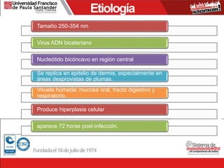 Etiología
Tamaño 250-354 nm
Virus ADN bicateriano
Nucleótido bicóncavo en región central
Se replica en epitelio de dermis, especialmente en
áreas desprovistas de plumas.
Viruela húmeda: mucosa oral, tracto digestivo y
respiratorio.
Produce hiperplasia celular
aparece 72 horas post-infección.
 