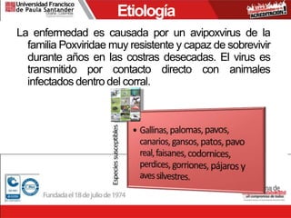 Etiología
La enfermedad es causada por un avipoxvirus de la
familia Poxviridae muy resistente y capaz de sobrevivir
durante años en las costras desecadas. El virus es
transmitido por contacto directo con animales
infectados dentro del corral.
 