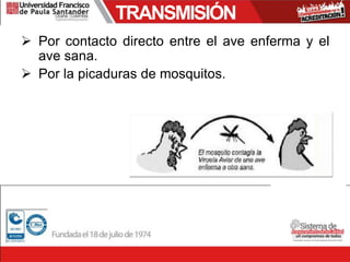 TRANSMISIÓN
 Por contacto directo entre el ave enferma y el
ave sana.
 Por la picaduras de mosquitos.
 