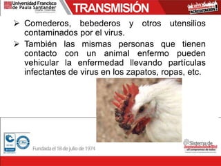 TRANSMISIÓN
 Comederos, bebederos y otros utensilios
contaminados por el virus.
 También las mismas personas que tienen
contacto con un animal enfermo pueden
vehicular la enfermedad llevando partículas
infectantes de virus en los zapatos, ropas, etc.
 