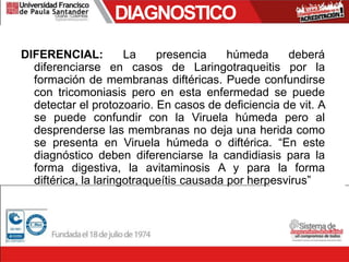 DIAGNOSTICO
DIFERENCIAL: La presencia húmeda deberá
diferenciarse en casos de Laringotraqueitis por la
formación de membranas diftéricas. Puede confundirse
con tricomoniasis pero en esta enfermedad se puede
detectar el protozoario. En casos de deficiencia de vit. A
se puede confundir con la Viruela húmeda pero al
desprenderse las membranas no deja una herida como
se presenta en Viruela húmeda o diftérica. “En este
diagnóstico deben diferenciarse la candidiasis para la
forma digestiva, la avitaminosis A y para la forma
diftérica, la laringotraqueítis causada por herpesvirus”
 