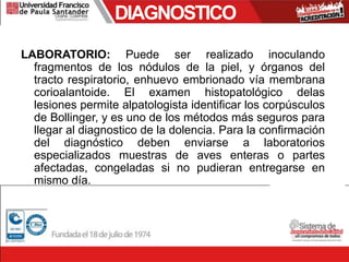 DIAGNOSTICO
LABORATORIO: Puede ser realizado inoculando
fragmentos de los nódulos de la piel, y órganos del
tracto respiratorio, enhuevo embrionado vía membrana
corioalantoide. El examen histopatológico delas
lesiones permite alpatologista identificar los corpúsculos
de Bollinger, y es uno de los métodos más seguros para
llegar al diagnostico de la dolencia. Para la confirmación
del diagnóstico deben enviarse a laboratorios
especializados muestras de aves enteras o partes
afectadas, congeladas si no pudieran entregarse en
mismo día.
 
