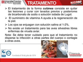 TRATAMIENTO
 El tratamiento de la forma cutánea consiste en quitar
las lesiones y curar con lavados previos y posteriores
de bicarbonato de sodio o solución iodada de Lugol.
 El suministro de vitamina A ayuda a la regeneración de
la piel.
 Los ojos se enjuagan con solución salina al 1-2%.
 No existe un tratamiento para las aves silvestres libres
enfermas de viruela aviar.
Nota: Se debe tener cuidado para que el tratamiento no
disperse la infección a otras partes del cuerpo o contagie
a otras aves.
 