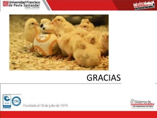 GRACIAS
 